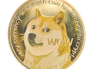 Doge 2026 super premium
